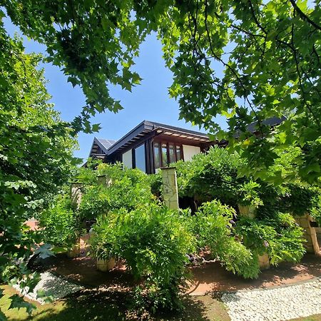 B&B Villa Sbaraglia Alatri Ngoại thất bức ảnh