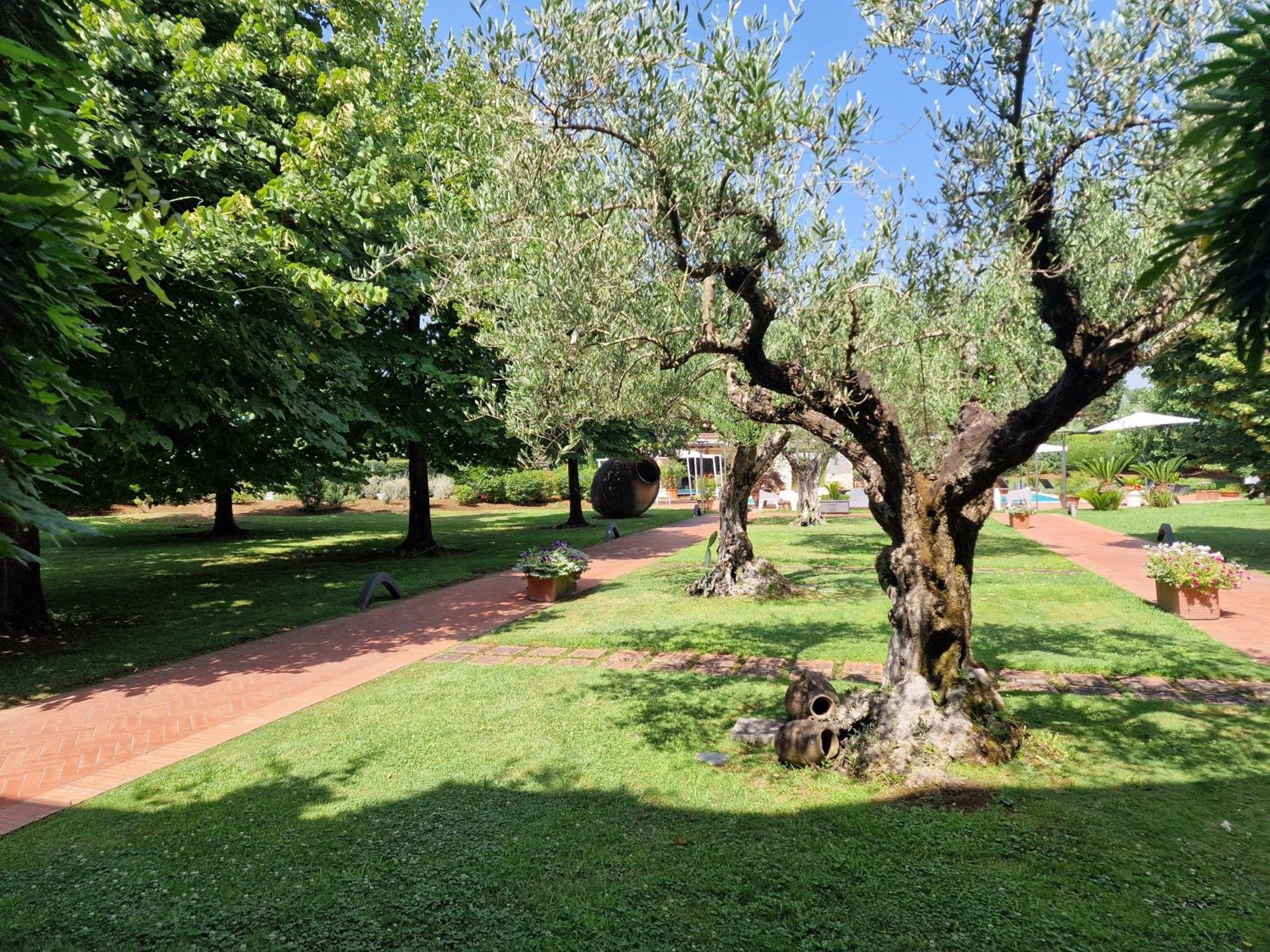 B&B Villa Sbaraglia Alatri Ngoại thất bức ảnh