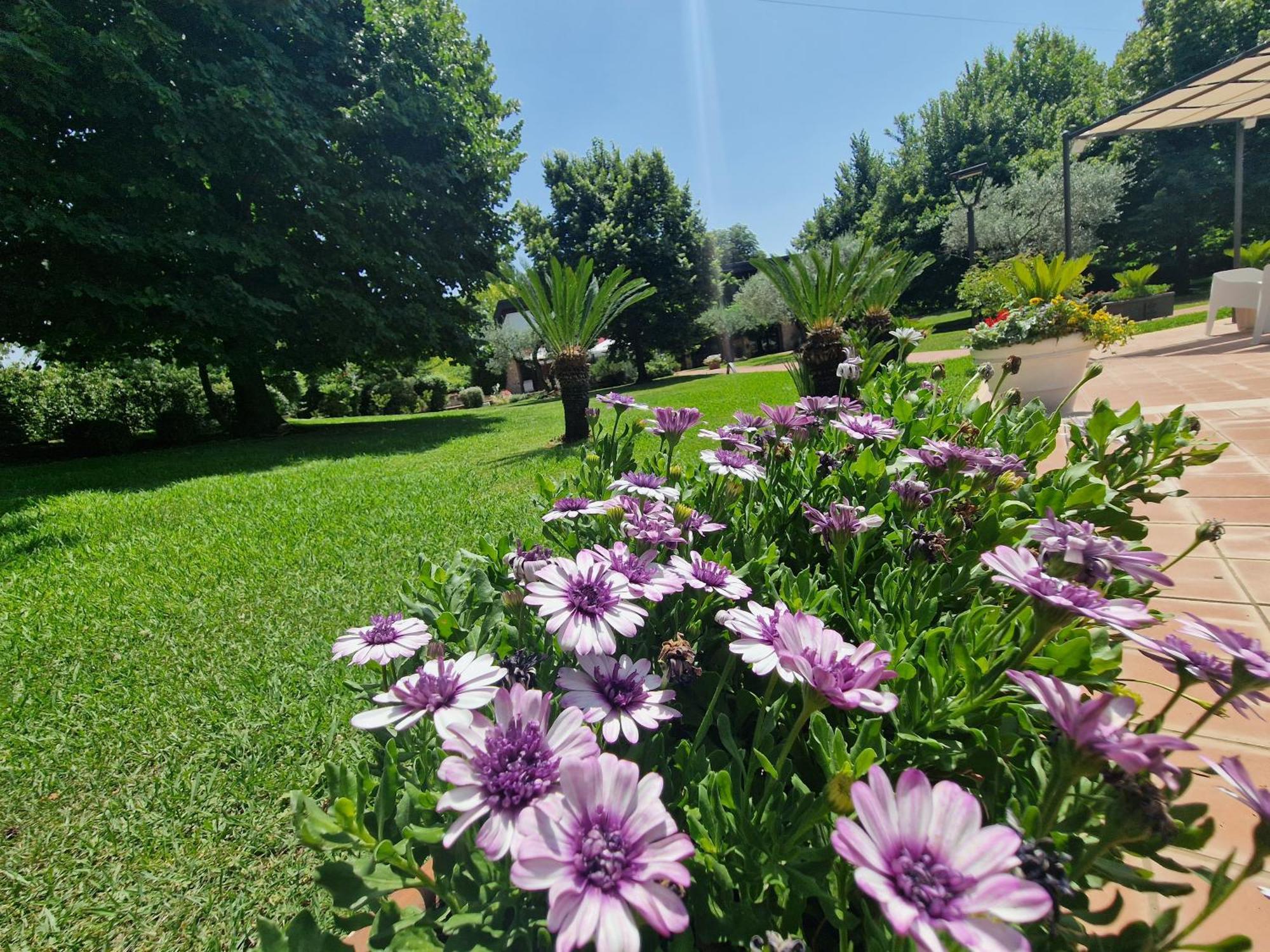 B&B Villa Sbaraglia Alatri Ngoại thất bức ảnh